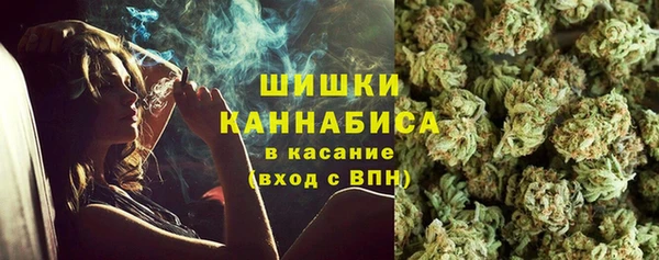apvp Алзамай